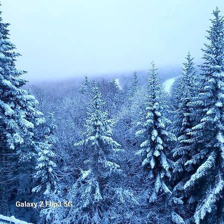 Gites Basques Laguiole Exteriér fotografie